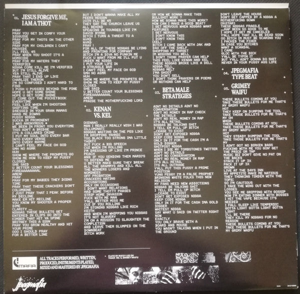 JPEGMAFIA – All My Heroes Are Cornballs (2xLP) LP vinyl record, image 10 of 10