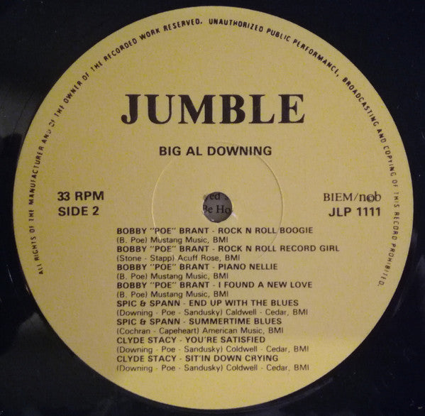 Al Downing – Big Al Downing And The Poe-Kats LP vinyl record, image 4 of 4