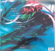 Within Temptation – Enter LP vinyl record, image 5 of 10