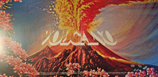 Jungle – Volcano LP vinyl record, image 2 of 8
