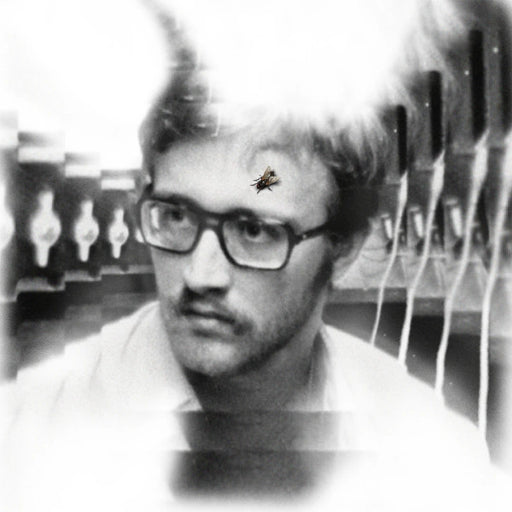 Damaged Bug – Bug On Yonkers LP vinyl record, image 1 of 3