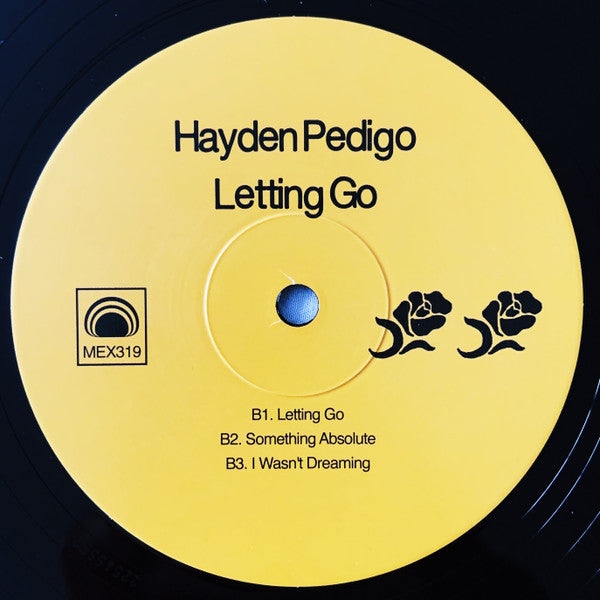 Hayden Pedigo – Letting Go LP vinyl record, image 4 of 7