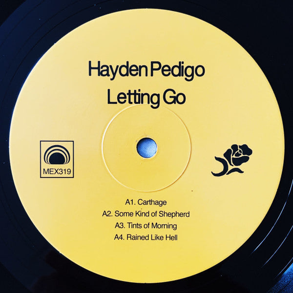 Hayden Pedigo – Letting Go LP vinyl record, image 3 of 7