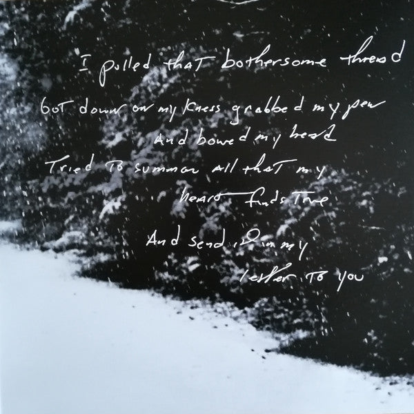 Bruce Springsteen – Letter To You LP vinyl record, image 3 of 10