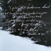 Bruce Springsteen – Letter To You LP vinyl record, image 3 of 10