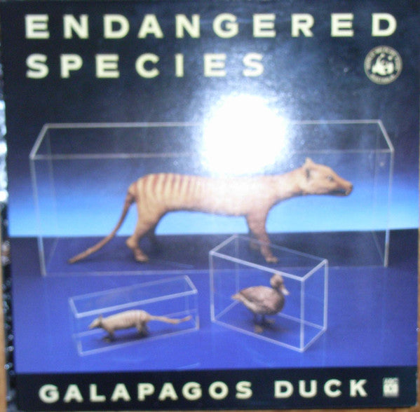 Galapagos Duck – Endangered Species LP vinyl record, image 1 of 2