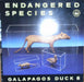 Galapagos Duck – Endangered Species LP vinyl record, image 1 of 2