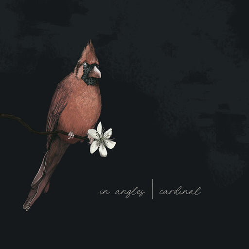 In Angles – Cardinal