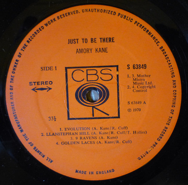 Amory Kane – Just To Be There LP vinyl record, image 3 of 5