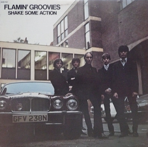The Flamin' Groovies – Shake Some Action