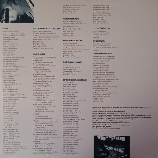 Van Morrison – Too Long In Exile (2xLP) LP vinyl record, image 4 of 8