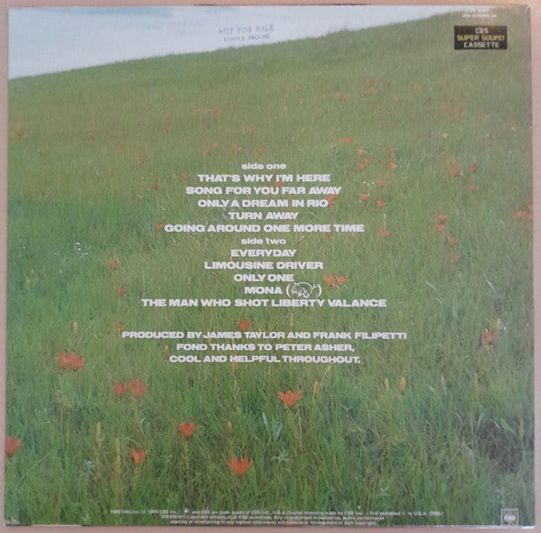 James Taylor – That's Why I'm Here LP vinyl record, image 2 of 6