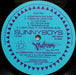 Sunnyboys – Sunnyboys LP vinyl record, image 4 of 6