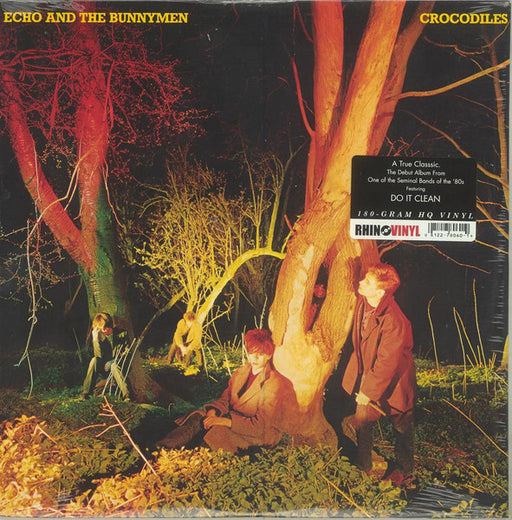Echo & The Bunnymen – Crocodiles LP vinyl record, image 1 of 7