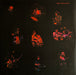 Fairport Convention – Fairport Live Convention LP vinyl record, image 6 of 6