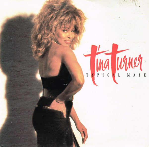 Tina Turner – Typical Male 7" vinyl record, image 1 of 4