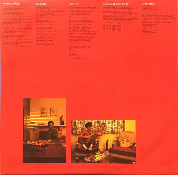 Mental As Anything – Fundamental As Anything LP vinyl record, image 3 of 10