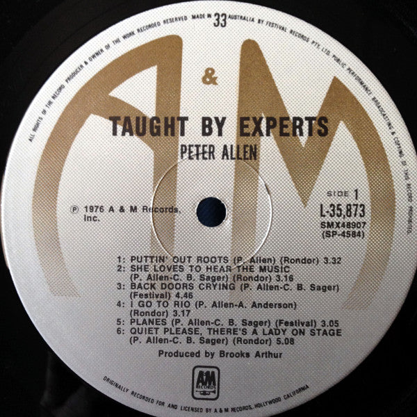 Peter Allen – Taught By Experts LP vinyl record, image 5 of 6