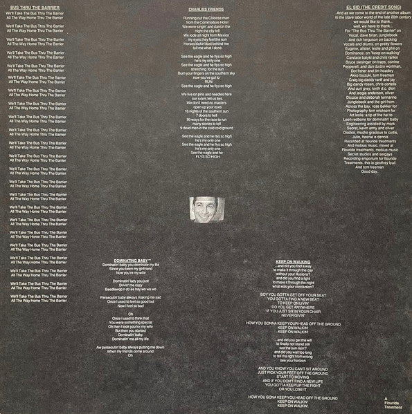 Klaus Flouride – Because I Say So LP vinyl record, image 6 of 6