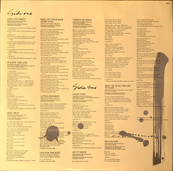 Brian Wilson – Brian Wilson LP vinyl record, image 6 of 6