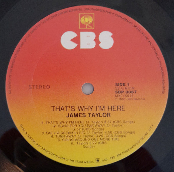 James Taylor – That's Why I'm Here LP vinyl record, image 3 of 6