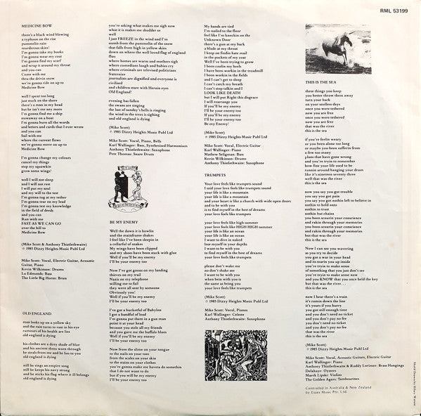 The Waterboys – This Is The Sea LP vinyl record, image 6 of 6