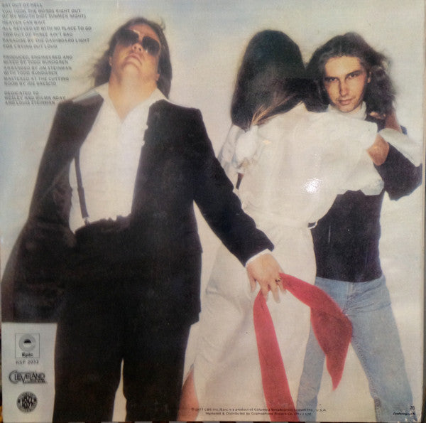 Meat Loaf – Bat Out of Hell LP vinyl record, image 2 of 3