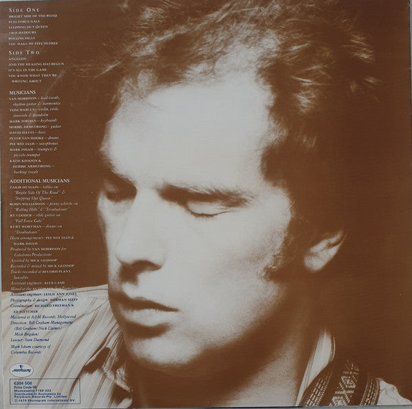 Van Morrison – Into The Music LP vinyl record, image 2 of 4