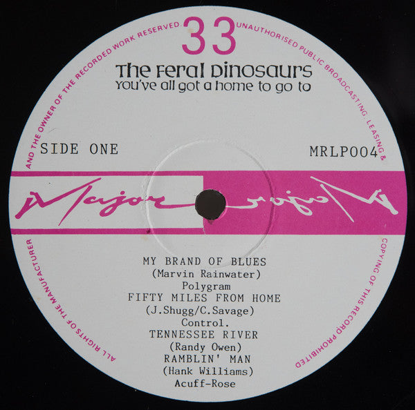 The Feral Dinosaurs – You've All Got A Home To Go To LP vinyl record, image 3 of 4