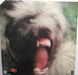 John Entwistle's Ox – Mad Dog LP vinyl record, image 2 of 10