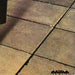 Annette Peacock – X-Dreams LP vinyl record, image 6 of 6