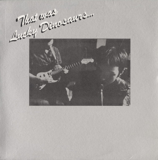 Lucky Dinosaurs – That Was 12" vinyl record