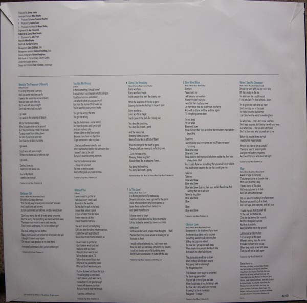 Alison Moyet – Raindancing LP vinyl record, image 6 of 6