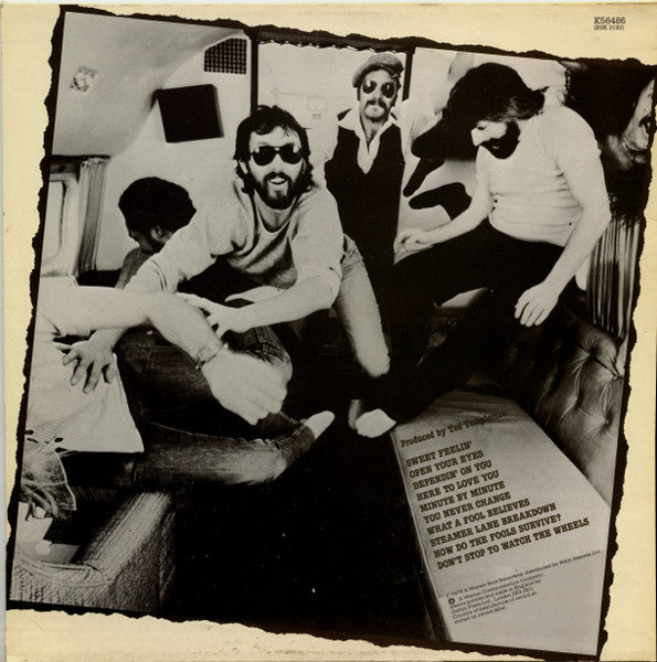 The Doobie Brothers – Minute By Minute LP vinyl record, image 4 of 6