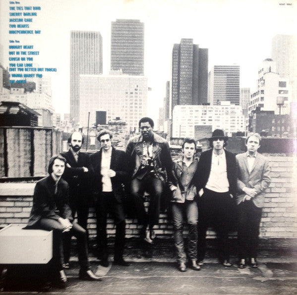 Bruce Springsteen – The River (2xLP) LP vinyl record, image 7 of 10
