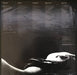 Whitesnake – Slide It In LP vinyl record, image 5 of 6
