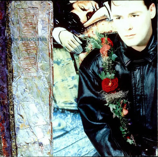 The Associates – Wild And Lonely LP vinyl record, image 1 of 2