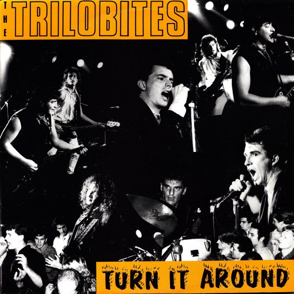 The Trilobites – Turn It Around