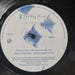 The Big Dish – Swimmer LP vinyl record, image 5 of 8