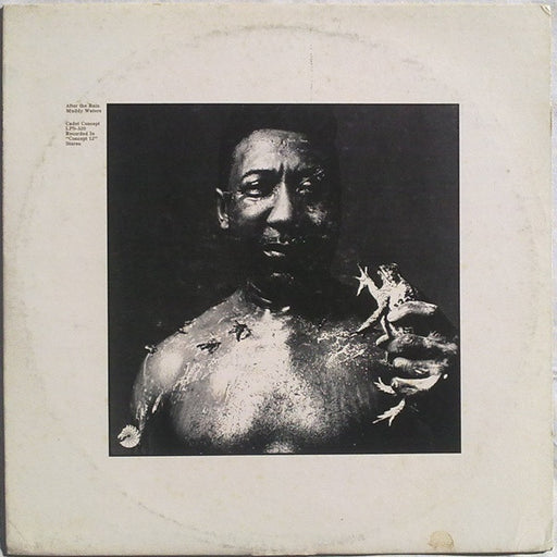 Muddy Waters – After The Rain LP vinyl record, image 1 of 4