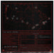 The White Stripes – Under Great White Northern Lights (2xLP) LP vinyl record, image 5 of 8