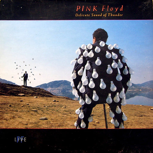 Pink Floyd – Delicate Sound Of Thunder (2xLP) LP vinyl record, image 1 of 10