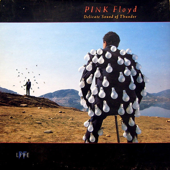 Pink Floyd – Delicate Sound Of Thunder (2xLP) LP vinyl record, image 1 of 10