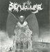 Sepultura – Morbid Visions / Bestial Devastation LP vinyl record, image 5 of 7