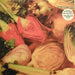 The Mock Turtles – Two Sides LP vinyl record, image 1 of 7