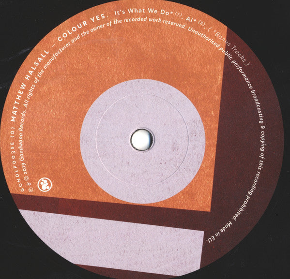 Matthew Halsall – Colour Yes (2xLP) LP vinyl record, image 6 of 8