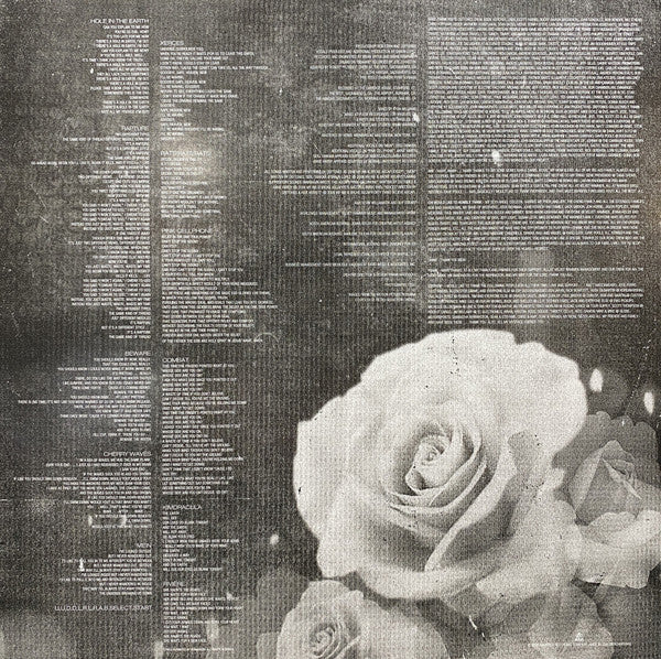 Deftones – Saturday Night Wrist LP vinyl record, image 6 of 7