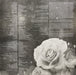 Deftones – Saturday Night Wrist LP vinyl record, image 6 of 7