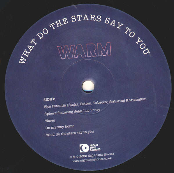 Ron Trent, Warm – What Do The Stars Say To You LP vinyl record, image 4 of 6