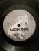 Lucky Dog – Why Do Fools Fall In Love? 7" vinyl record, image 2 of 2